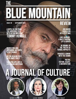 Blue Mountain Review Issue 29