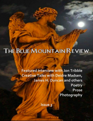 The Blue Mountain Review – The Southern Collective Experience